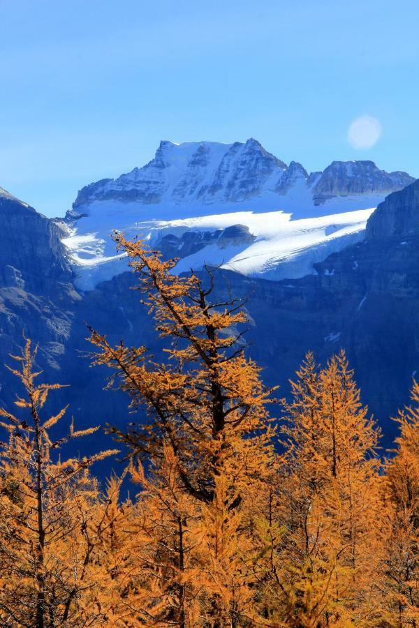 Apartment Copperstone - Luxurious 2 Bedroom Canmore